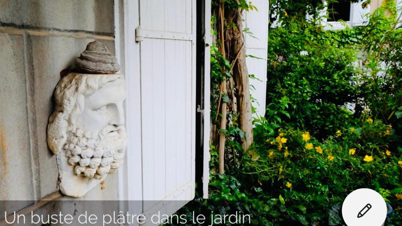 Maison Centre Historique Le Preau Saint Jacques Castres  Dış mekan fotoğraf